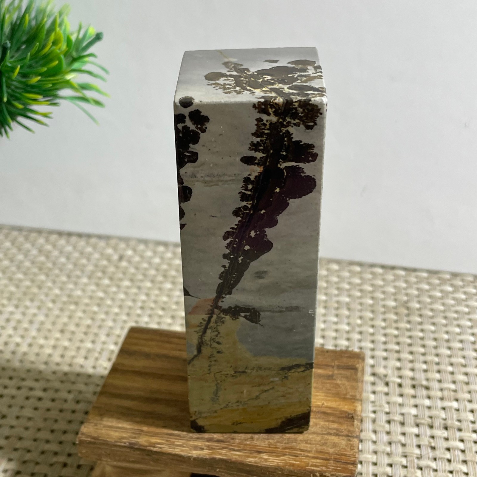 216g Beautiful Chinese Dendritic Limestone Picture Stone Guohua – Rare