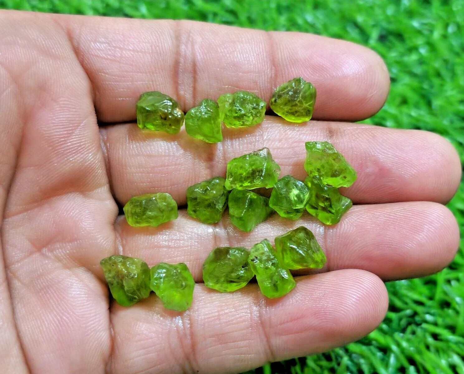 Excellent Rare Green Peridot 16 Piece Raw 10-12 MM Peridot Rough Loose Gemstone