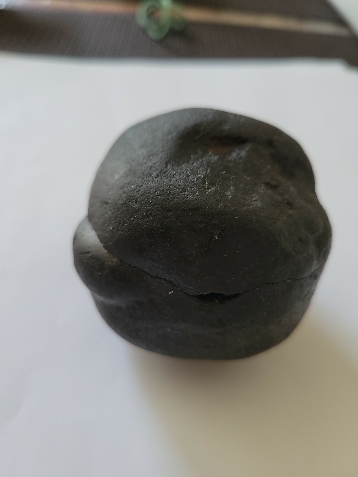 Shaligram Stone (ammonite)