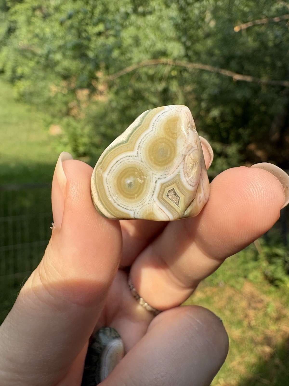 Orbicular Ocean Jasper Set