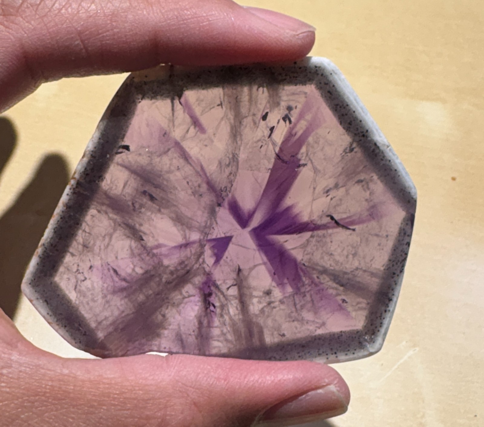 257 carat Trapiche Amethyst polished slice – Brazil