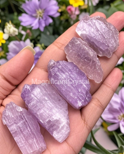 3pcs Rare Purple Kunzite Crystal Stone Love Home Decor Healing Reiki Energy Gift