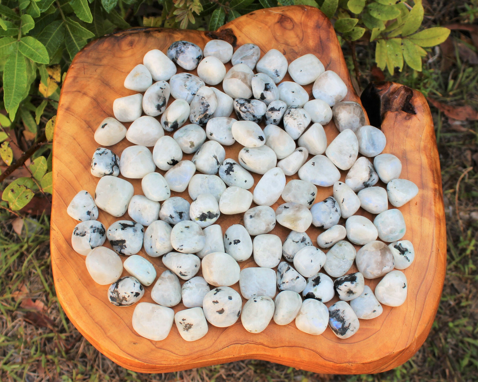 1/4 lb Bulk Lot Rainbow Moonstone Tumbled Stone Crystal Healing Energy (4 oz)