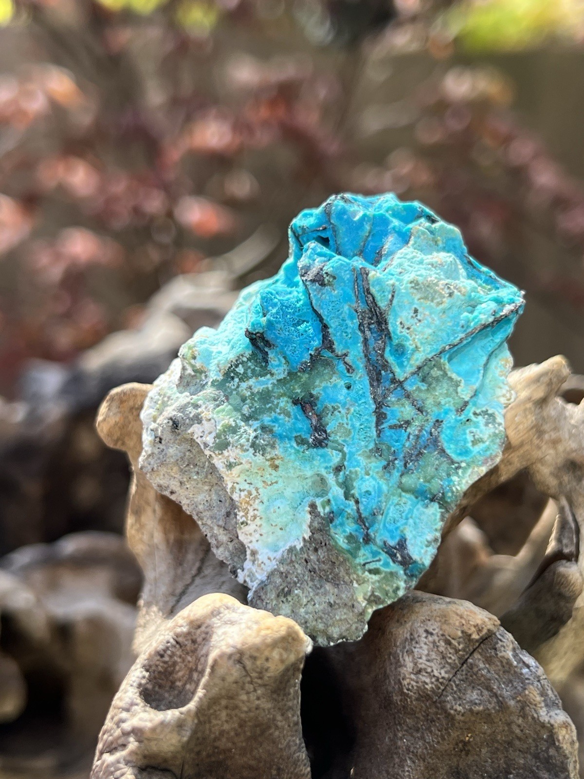 Chrysocolla Crystal Natural Unpolished Raw Specimen With Copper 2