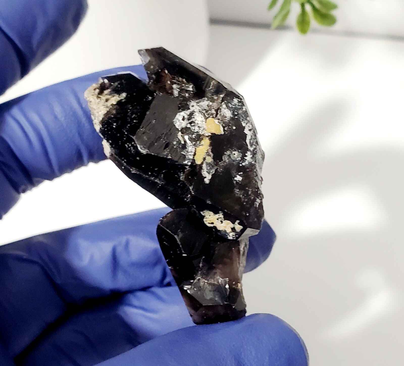 Smoky Black Quartz Skeletal Quartz Crystal , Fenster , Specimen 38g