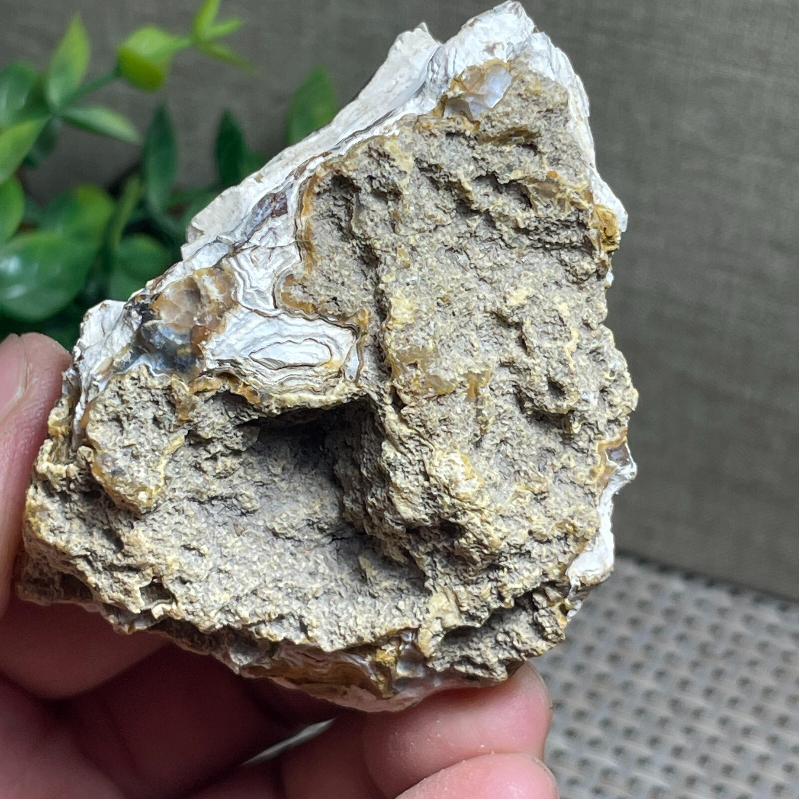 Beautiful ! Natural GoBi agate eye Agate Crystal Stone Specimen 133g C40