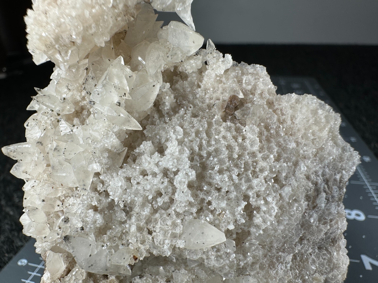 ➤4 Inch DOUBLE TERMINATED FOSSIL CORAL CALCITE CRYSTALS Pints Quarry VIDEO➤1073