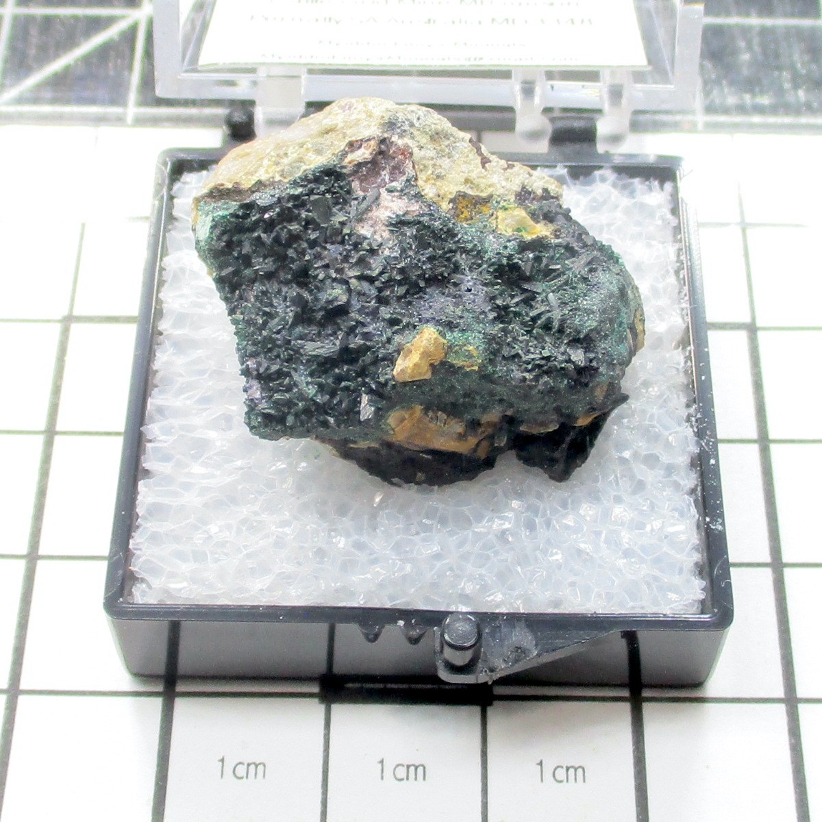 22037 TN Atacamite Cattle Grid Mine Mt Gunson SA Australia 163