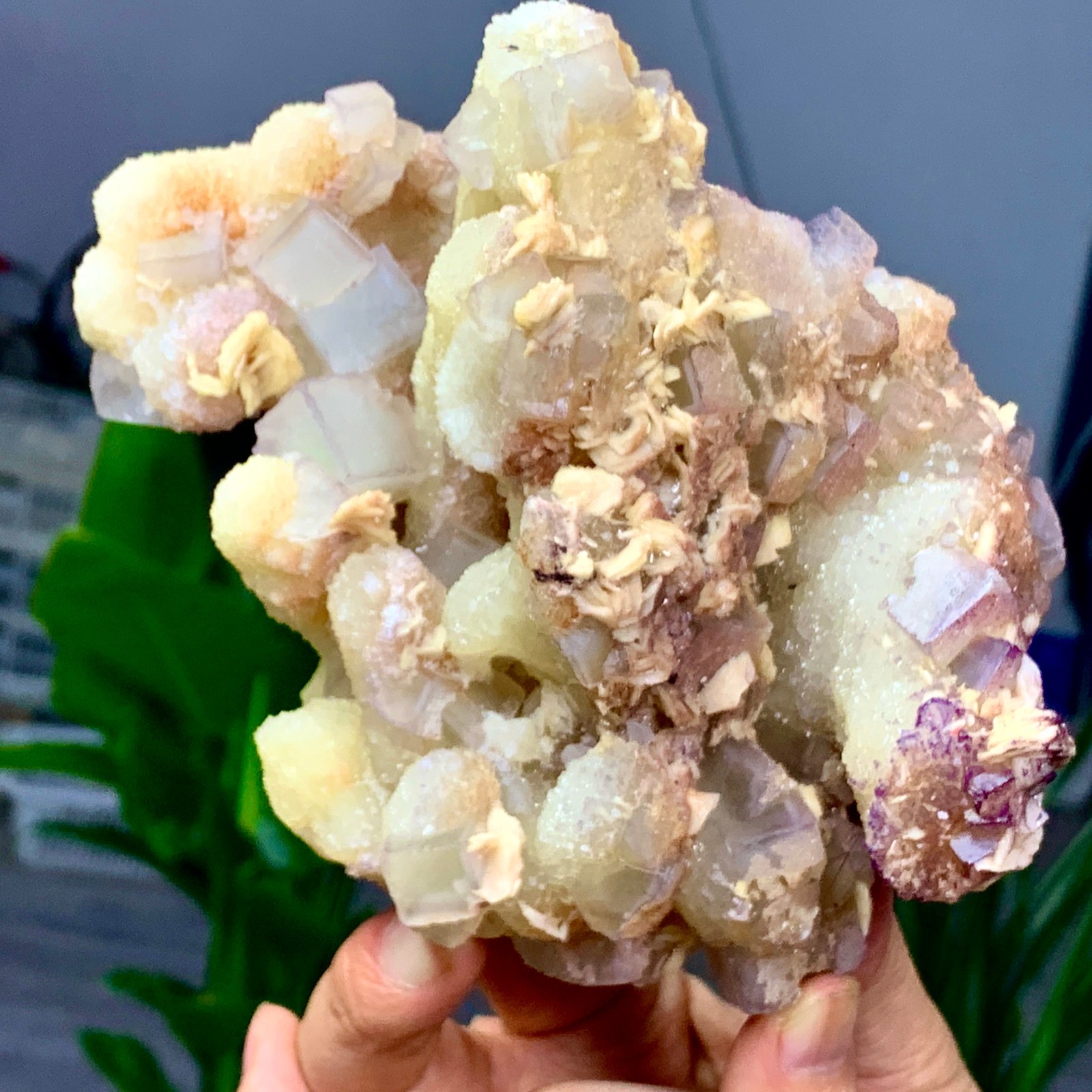 2.24LB Rare transparent purple green cubic fluorite mineral crystal sample/China