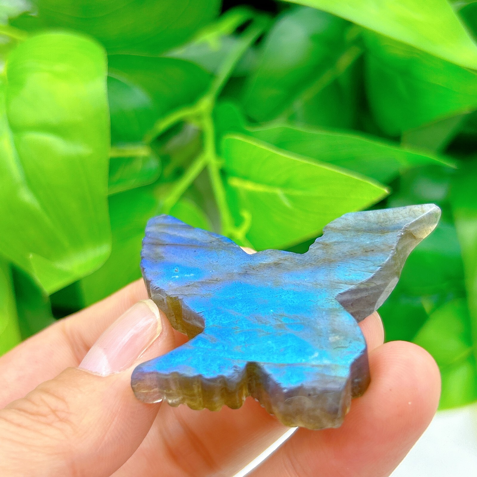 Natural labradorite Eagle Hand Carved crystal Healing