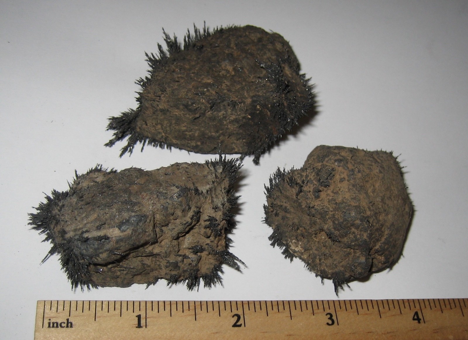 3 NATURAL 1.5″- 1.8″ LODESTONE ROUGH MAGNETIC STONE MINERALS UTAH, USA 276.1g *5