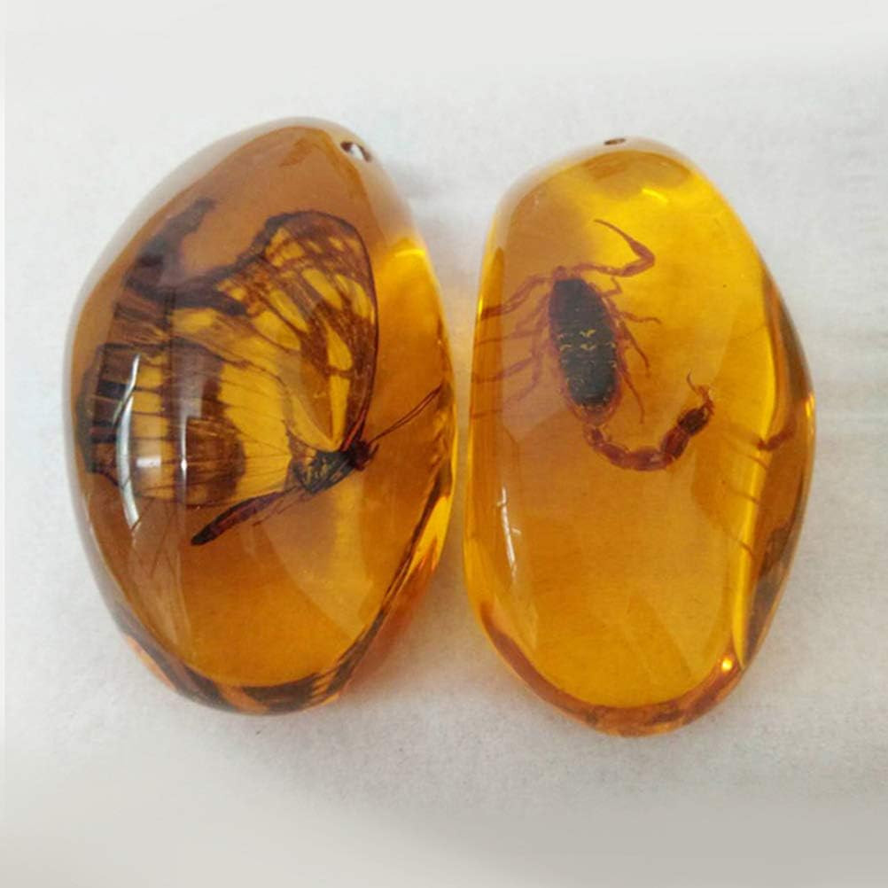 5Pcs Amber Fossil with Insects Samples Stones Crystal Specimens Home Dec