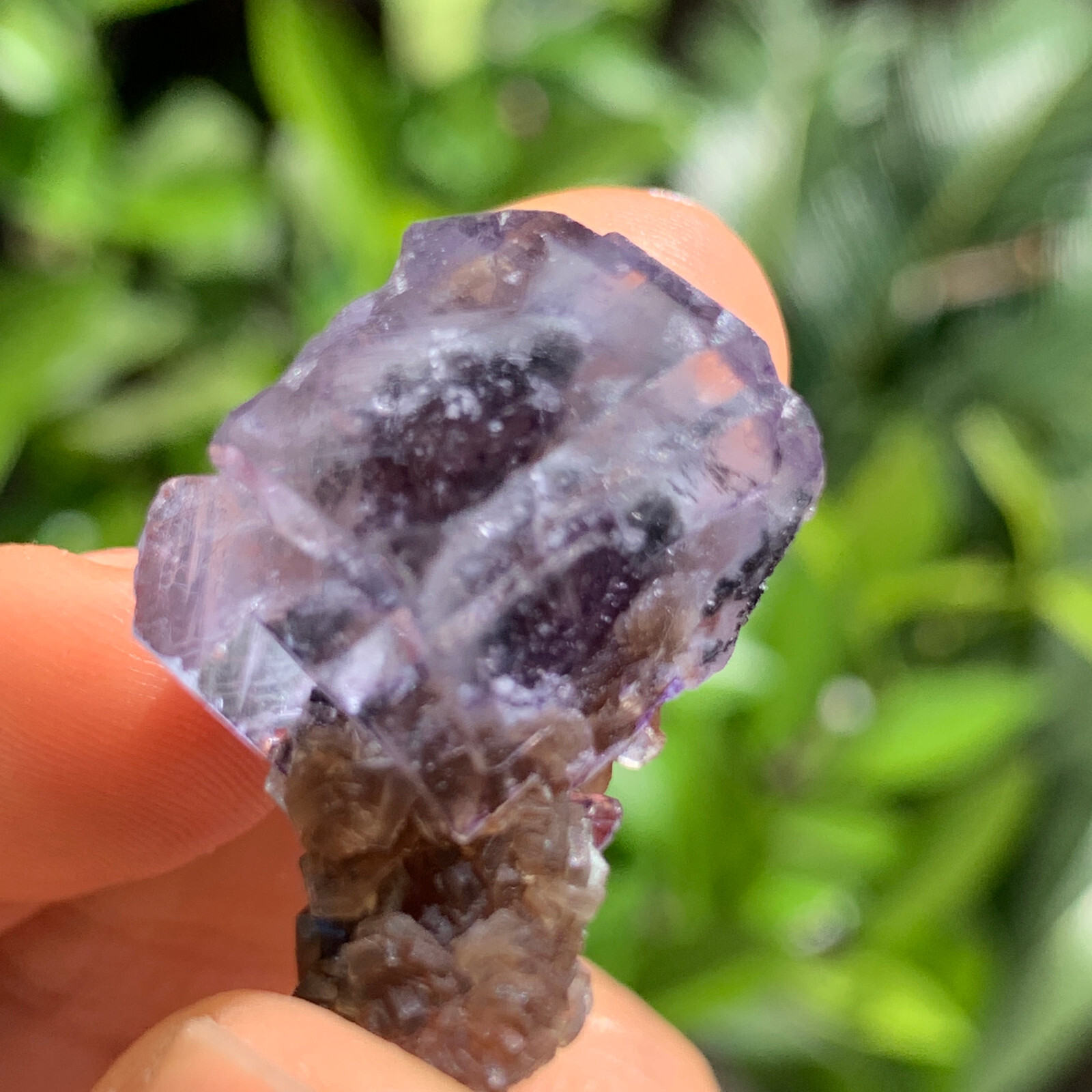 13G Natural Crystal fluorite calcite Quartz symbiont mineral Specimen Healing