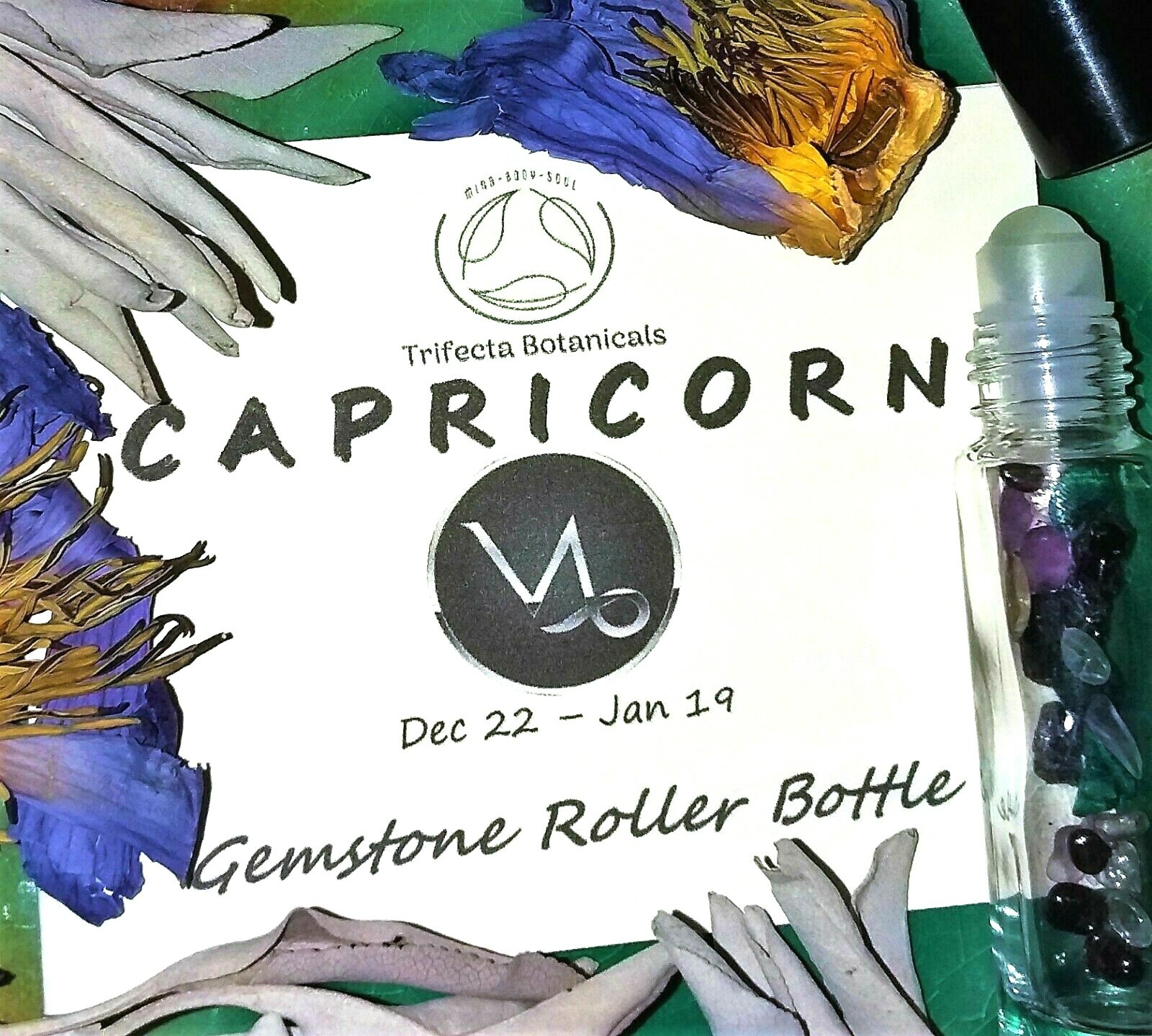 CAPRICORN Zodiac Roller Bottle Crystal Set Essential Oil Astrology Wicca Gift