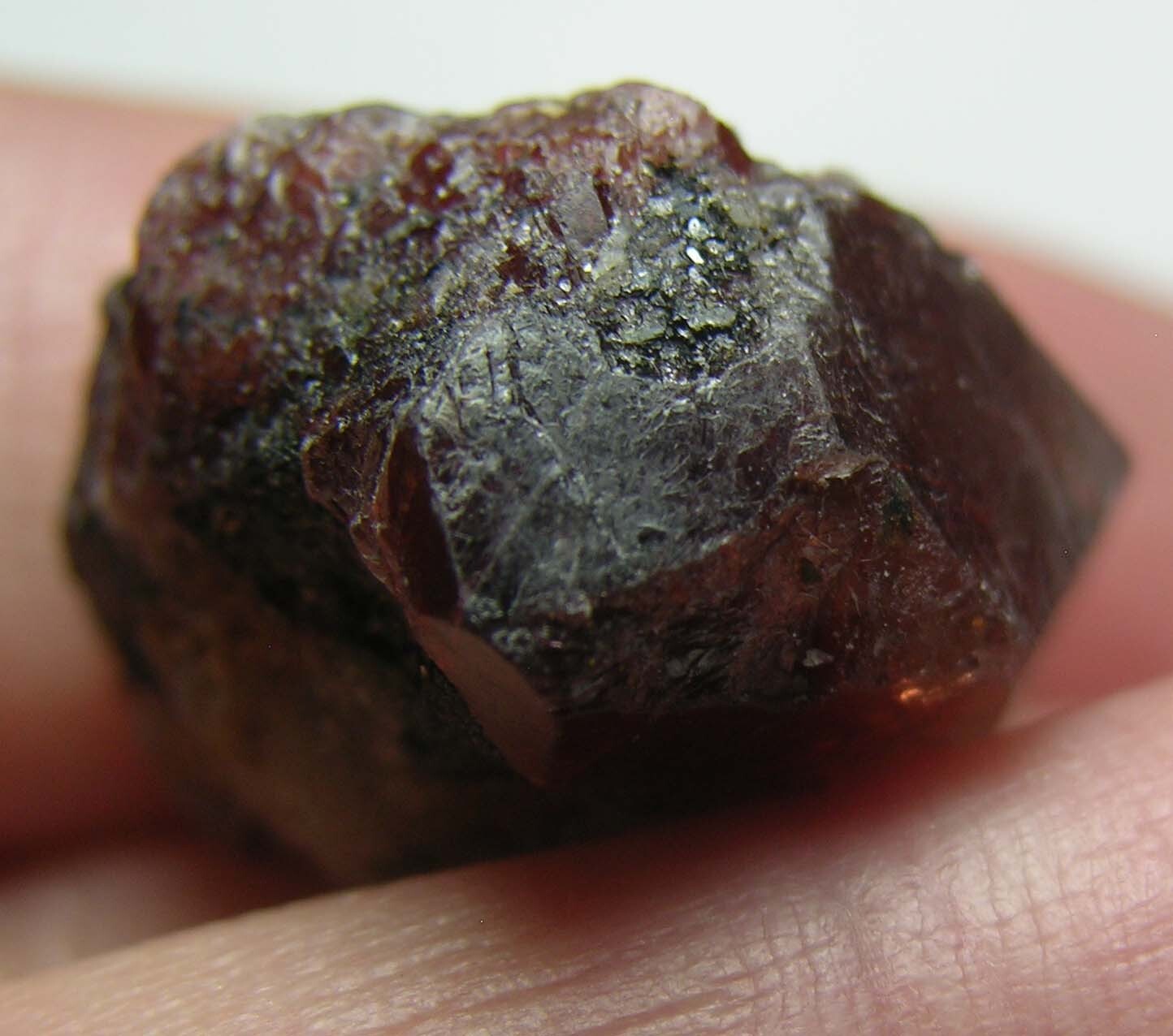 #39 Afghanistan 59.35ct Natural Octagonal Brownish Red Zircon Specimen 11.g 20mm