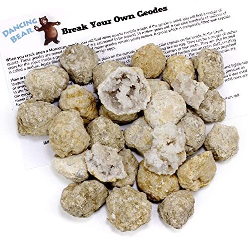 DANCING BEAR 25 Break Your Own Geodes, (Medium 1-1.5″) 90% Assorted Styles