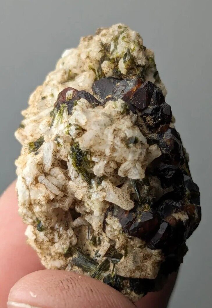 Natural dark brownish red garnet var. andradite cluster with green epidote