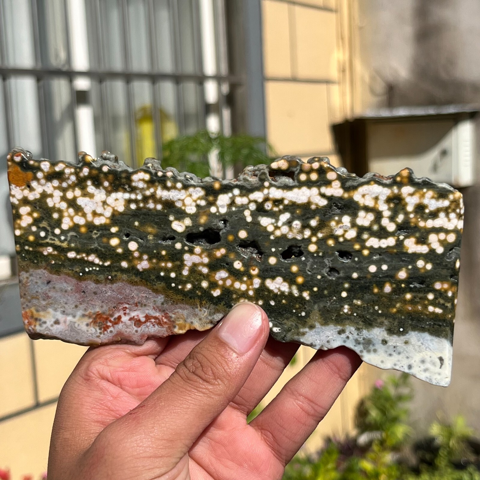 216g Natural Gem Grad Ocean Jasper Freeform & Druzy Crystal Mineral Specimen