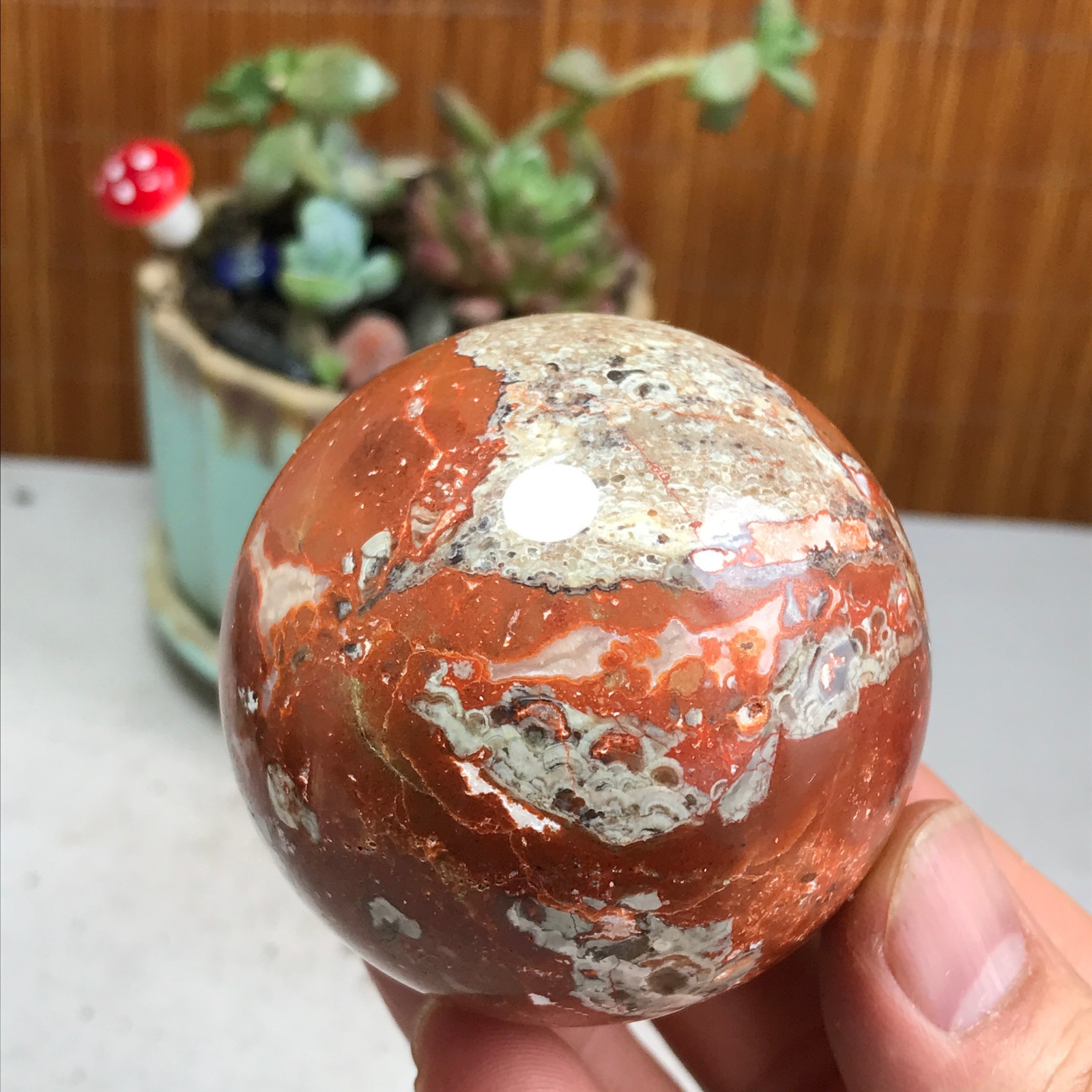 236g NATURAL money Mexico agate sphere Hand polished Ball Crystal specimen A5002