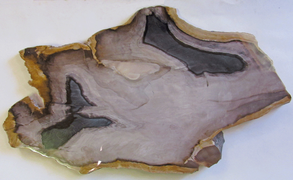 Natural Agate Slice Geode 4.5 pounds 9×16 inches 1/2 inch thick
