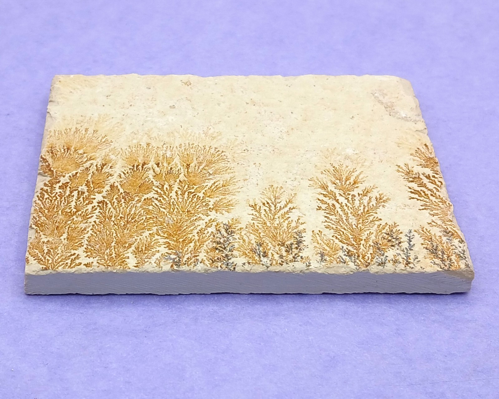Manganese Oxide Dendrites Plaque 80mm Bavaria Germany in Presentation Box