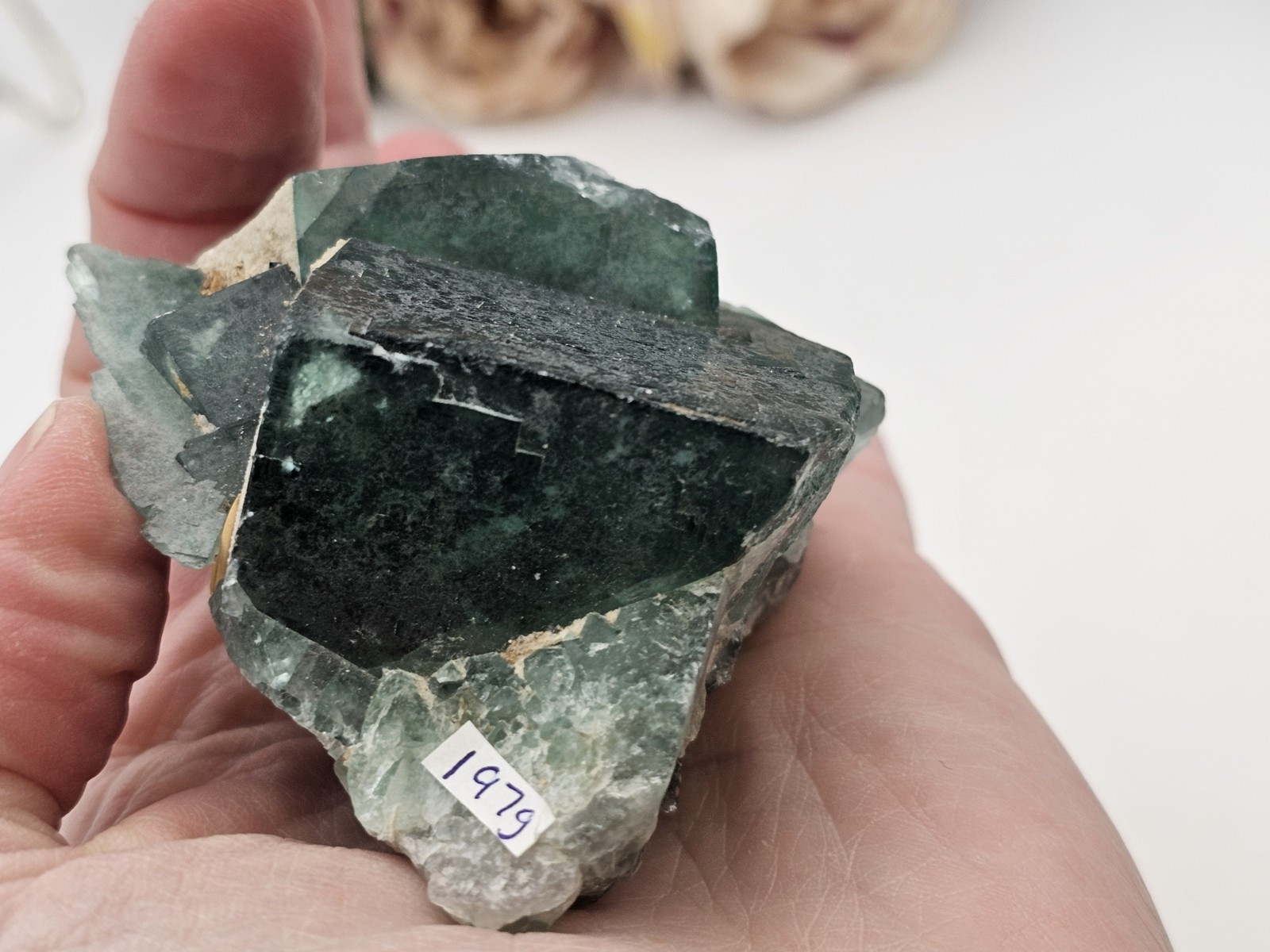 Green Teal Cubic Fluorite Specimen Rare crystal Raw 197g 7.8cm Blue