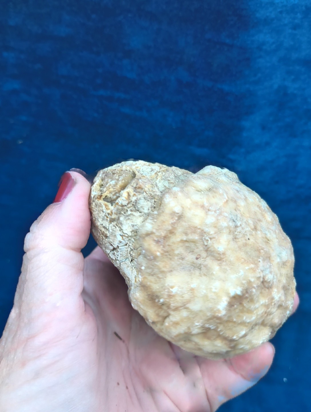 Large Kentucky Geode 3–5 inch – Crack Open Giant Quartz Crystal Rock – Authentic