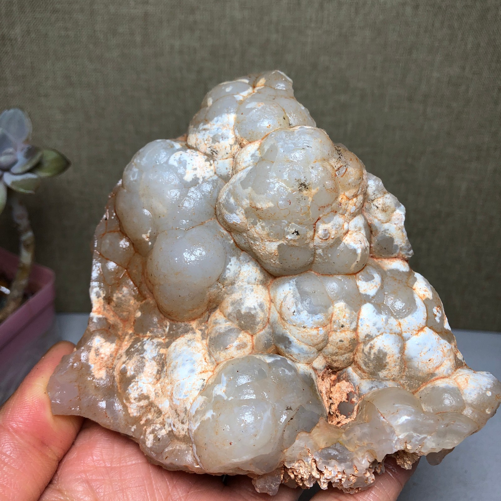 Rare Bonsai Suiseki Gobi semi-precious stone rough original Specimen 338g A2707