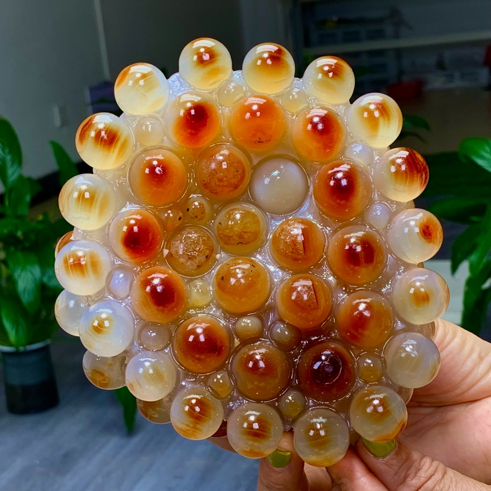 2.508LB Natural Gobi Agate Eye Agate grape shape Crystal Madagascar mineral