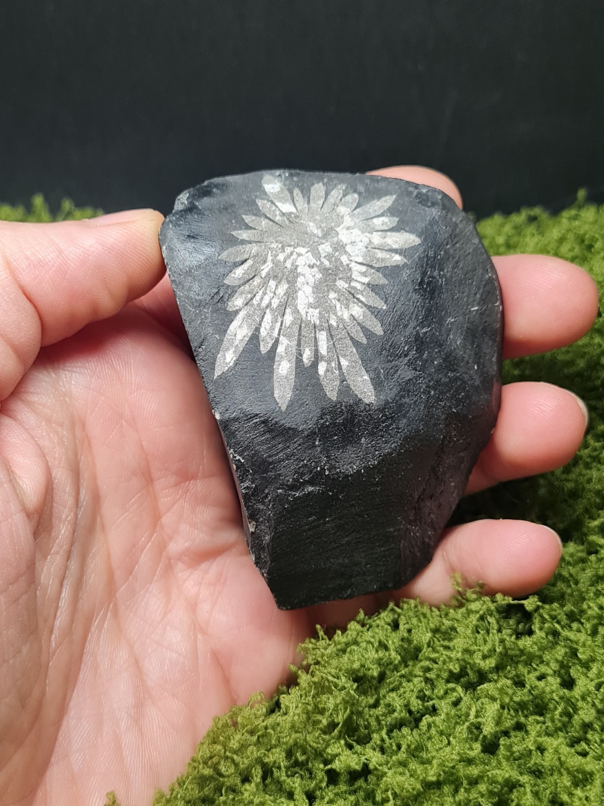 Rough Chrysanthemum Stone Specimen – Natural Flowerstone Crystal Display – 106g
