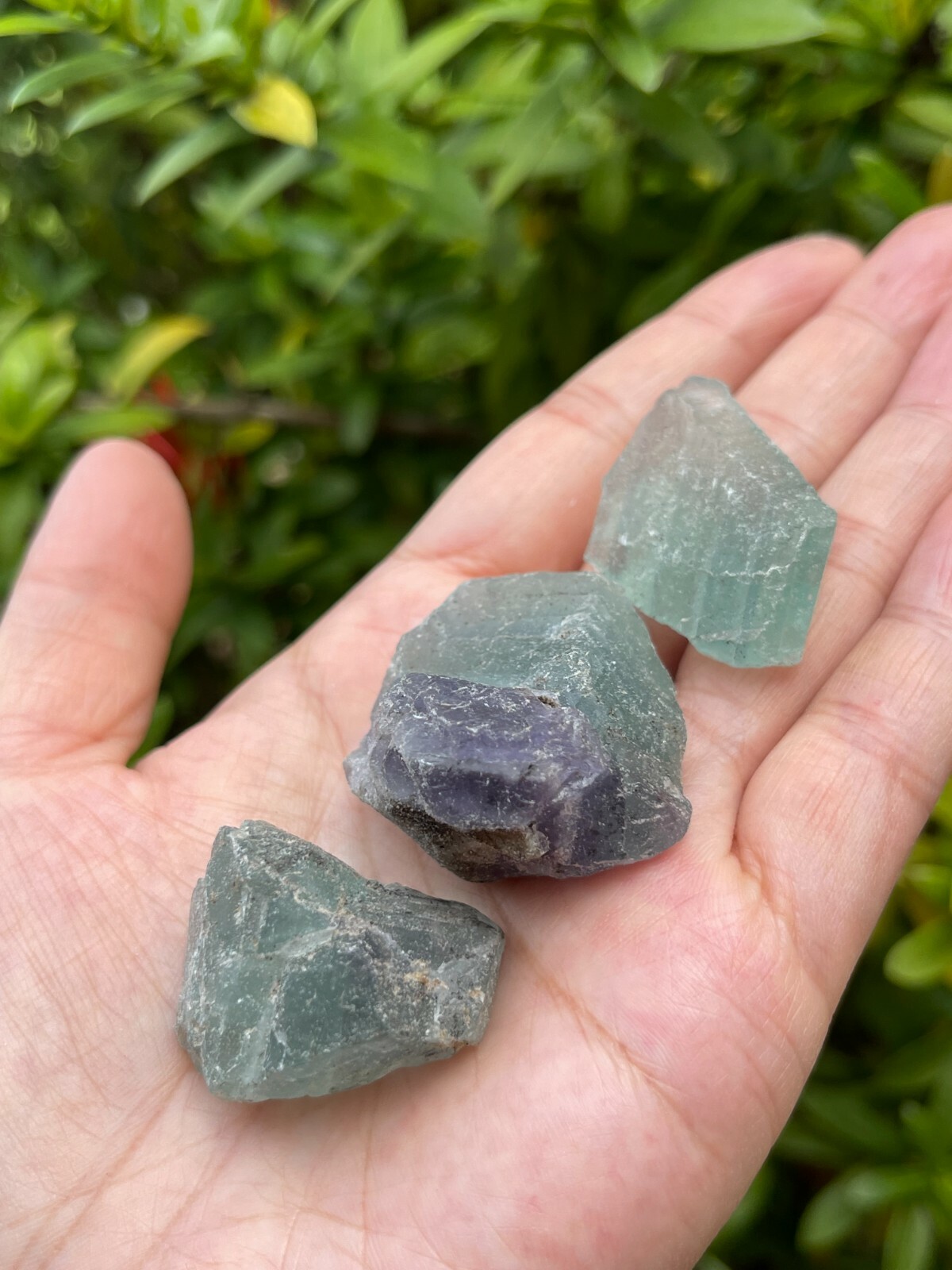 1/2 Lb Rough Large Fluorite Gemstone – Raw Natural Crystals for Cabbing, Wicca