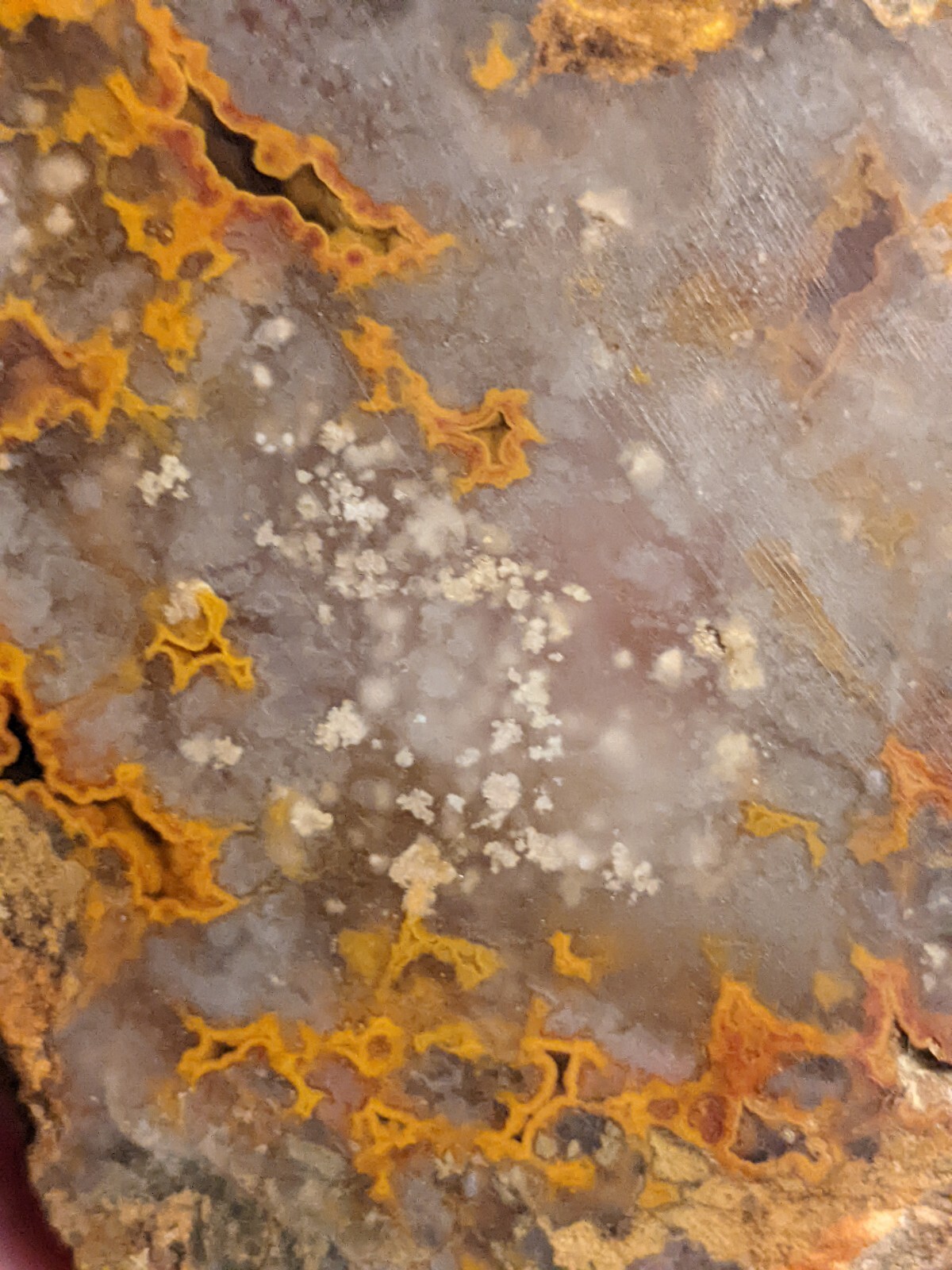 Awesome Orange Red Kentucky Agate Slab Slice