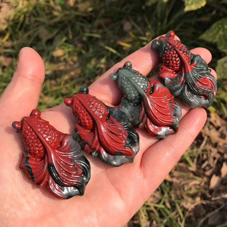 1pc Natural Bloodstone Quartz Hand Caved Fish Skull Crystal Reiki Healing