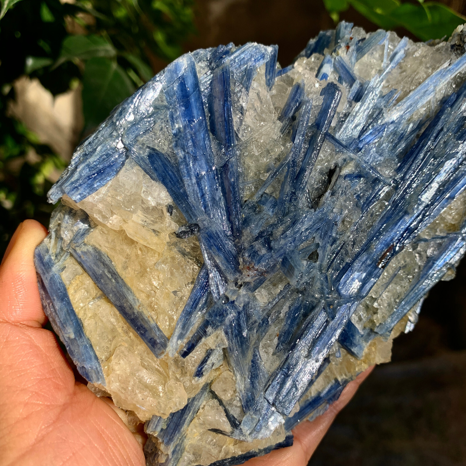 2.24LB Natural beautiful Blue KYANITE with Quartz Crystal Specimen Rough