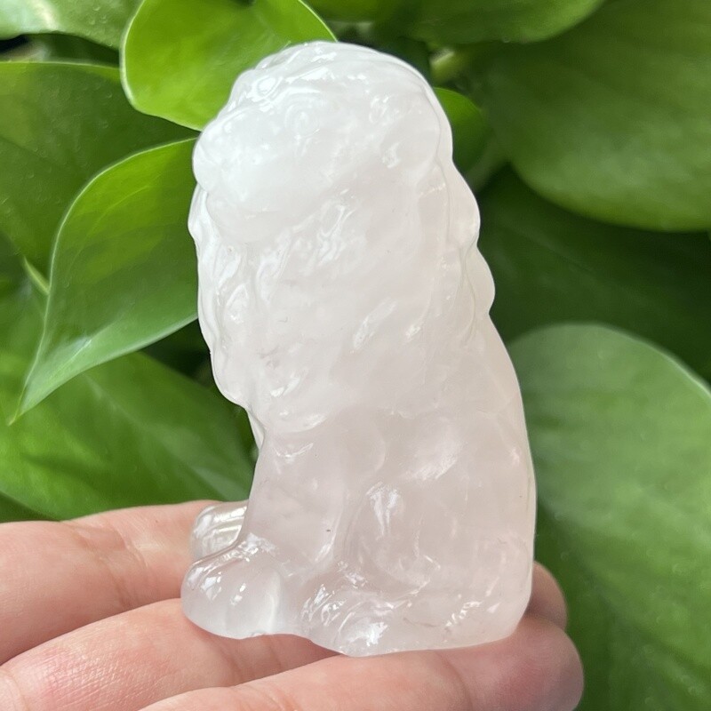 1PC Natural Rose quartz Lion Skull Quartz Crystal Skull Figurines 2.4″ Random