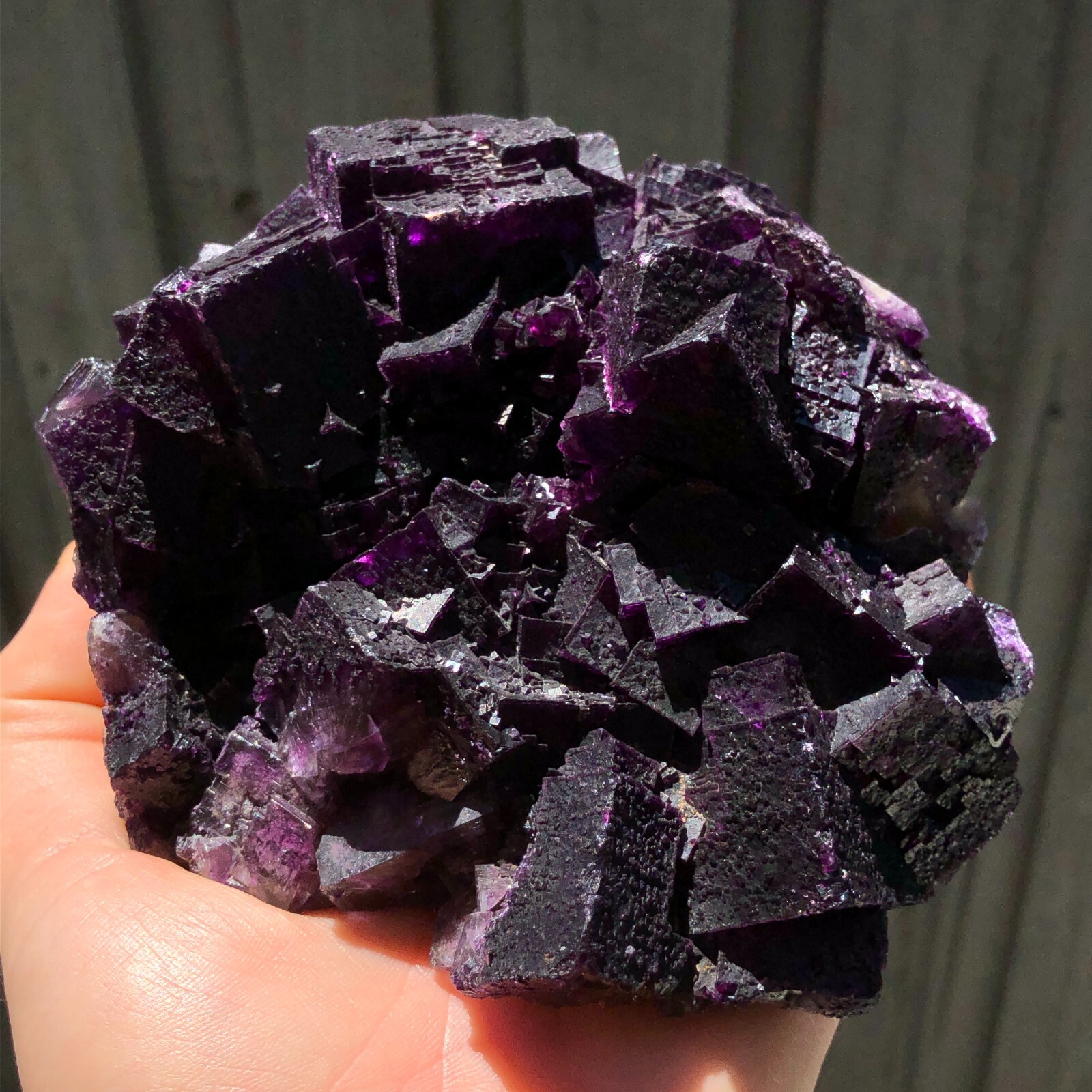 12.8cm Purple Fluorite Crystals from Cave in Rock, Illinois, USA
