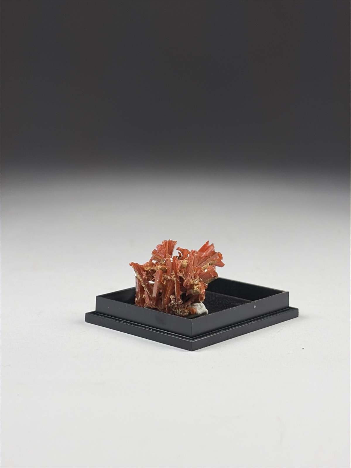 Crocoite – Dundas District – Tasmania – Australia