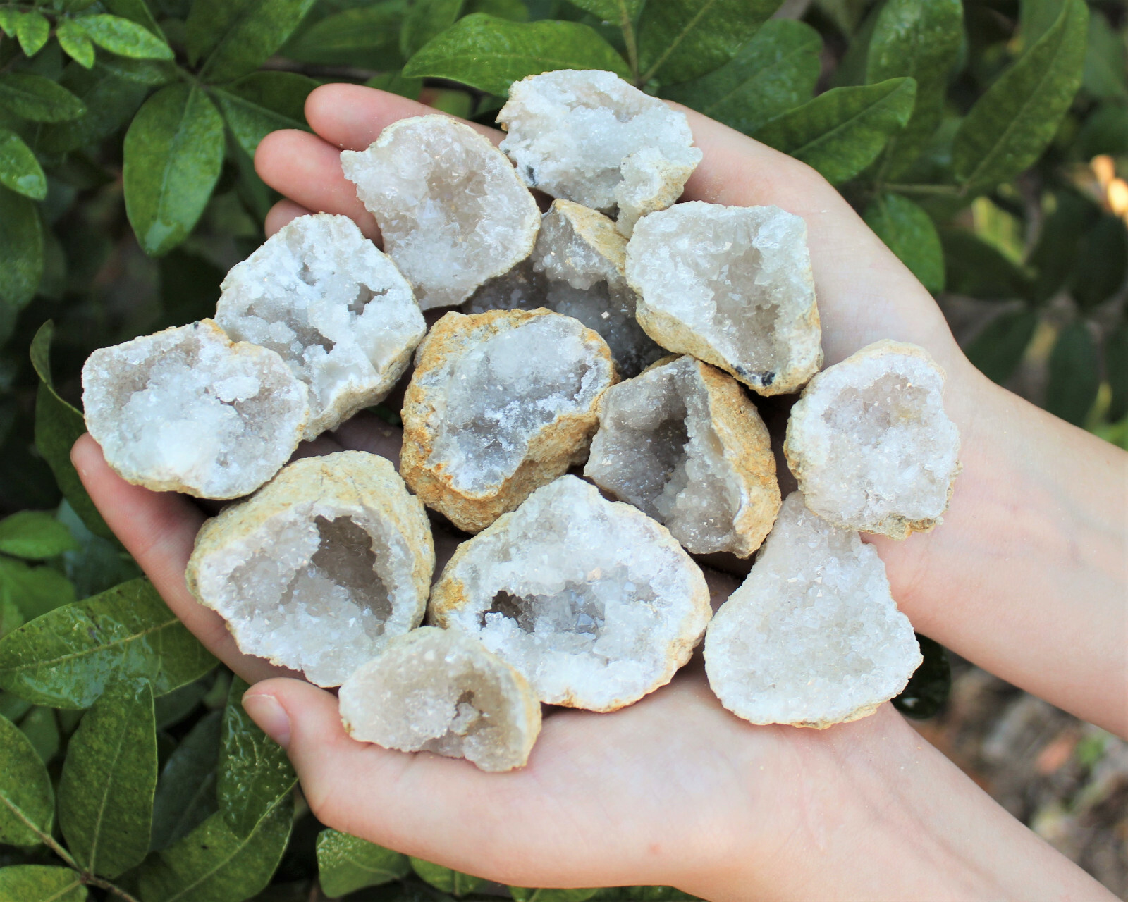 Break Your Own Geodes Gift Box (8 – 12 pcs) Large Unopened Moroccan Crystals