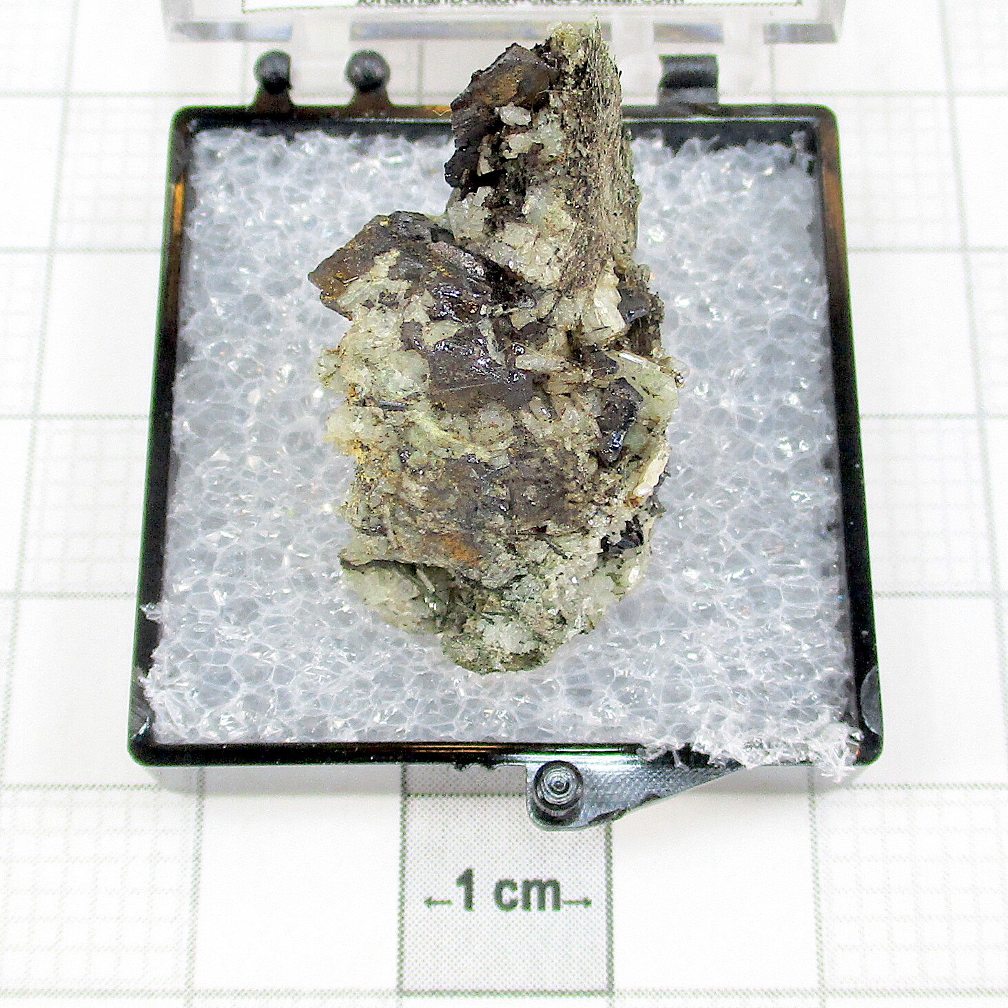04915 TN Ilmenite Vavnbed Mount Lovozero Russian Federation 18691