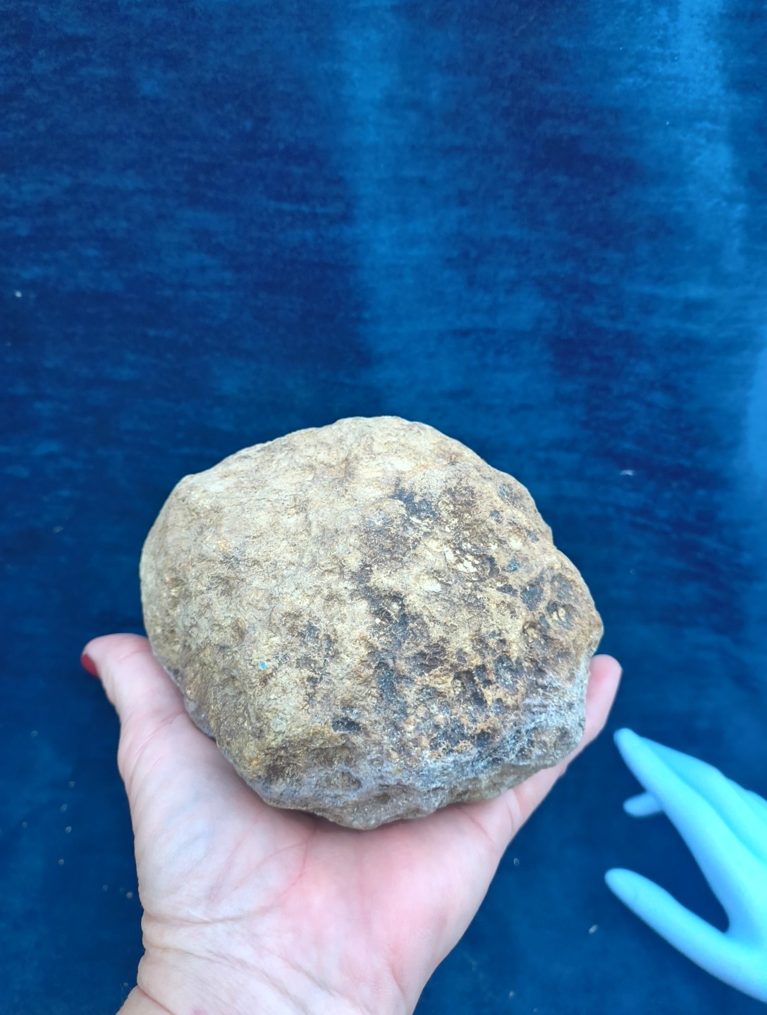 Large Kentucky Geode 3–5 inch – Crack Open Giant Quartz Crystal Rock – Authentic