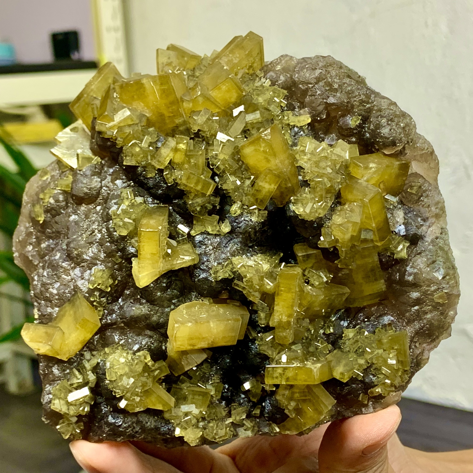 2.76LB Shiny Golden Cuboid Barite Crystal Based on the Purple Spherical Fluorite