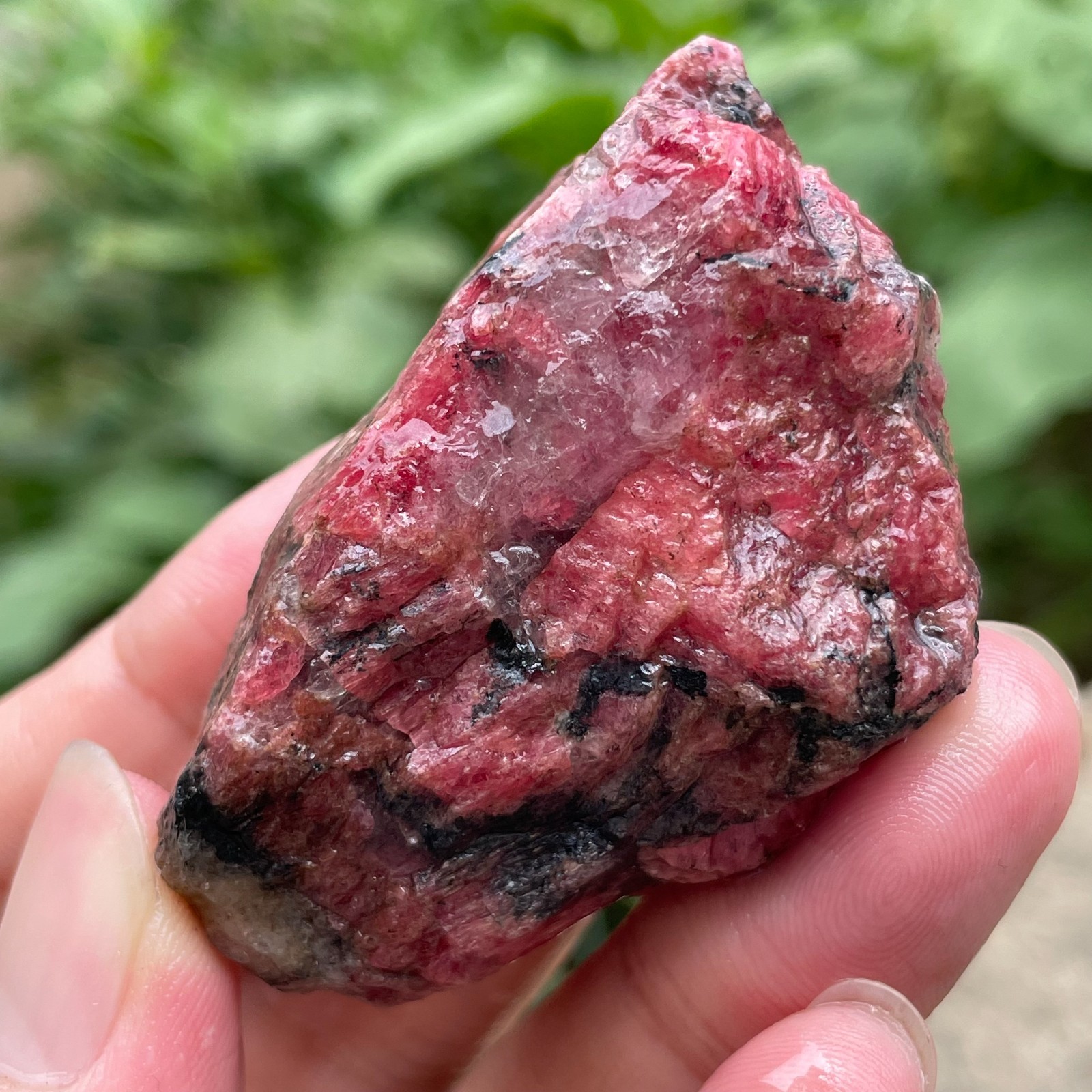 84g Small Raw Ore Red Black Rhodonite Quartz Gemstone Mineral Specimen