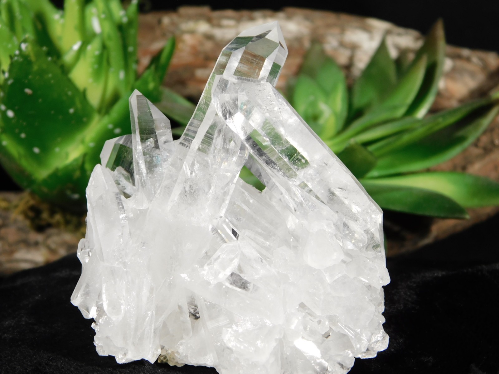 TRANSLUCENT Quartz Crystal Cluster From Collier Creek ARKANSAS 107gr