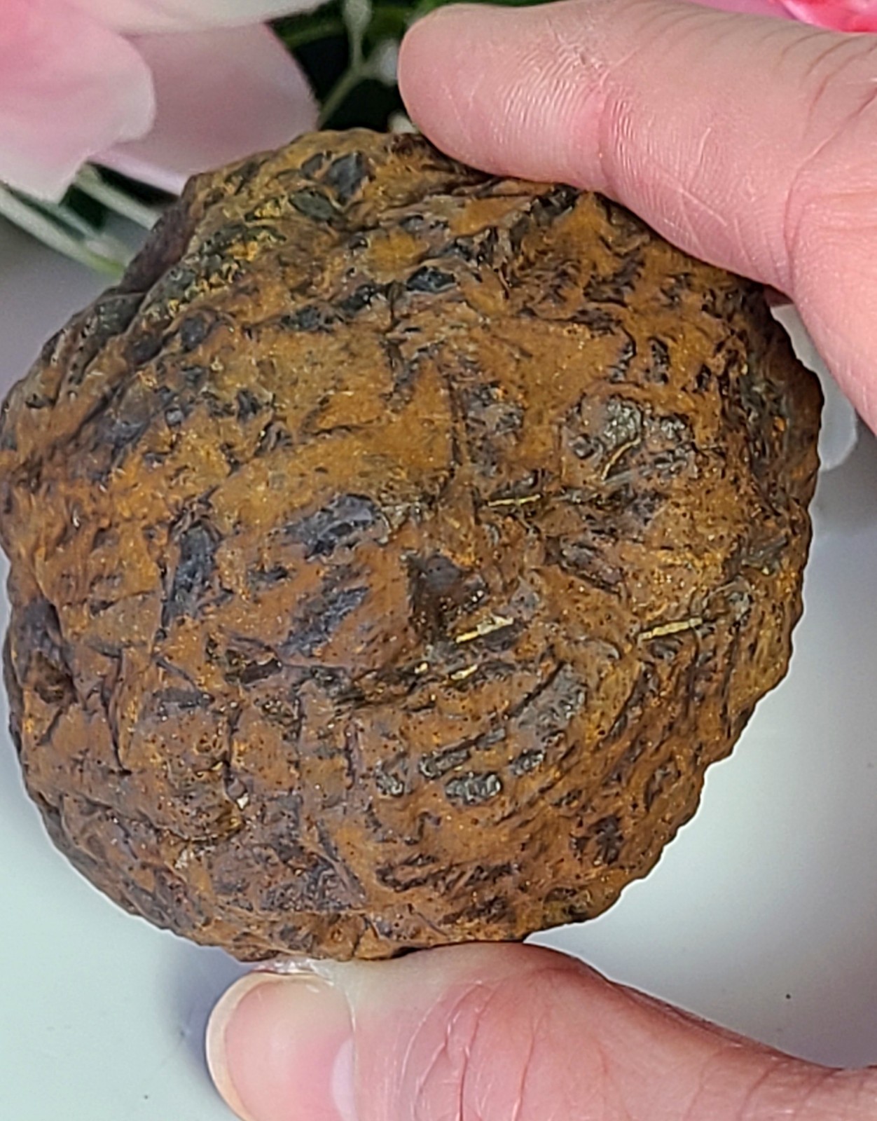 XL 2.4″ 273g Prophecy Stone Z “Golden Meteorite” Egyptian 3rd Eye Meditation