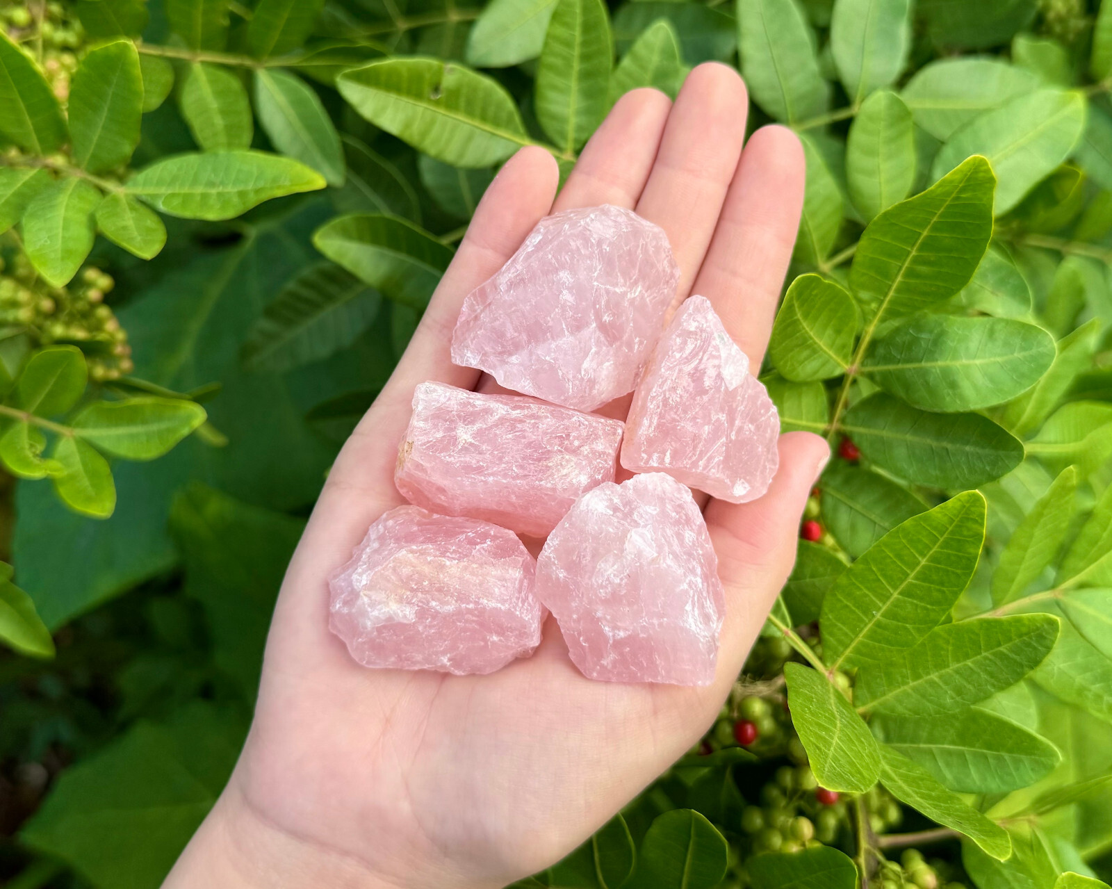 5 x Natural Rough Rose Quartz Crystals (Raw Specimen Healing Reiki Love Stone)