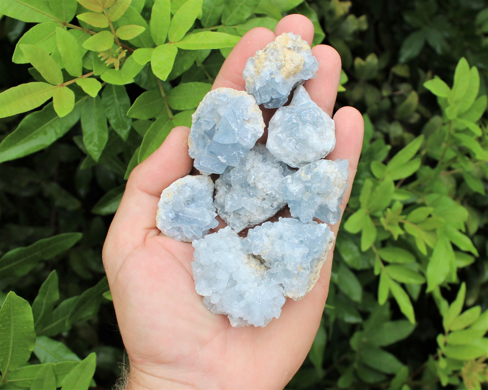 Mini Celestite Crystal Cluster Bulk Wholesale Lots (Sky Blue Celestite Druze)