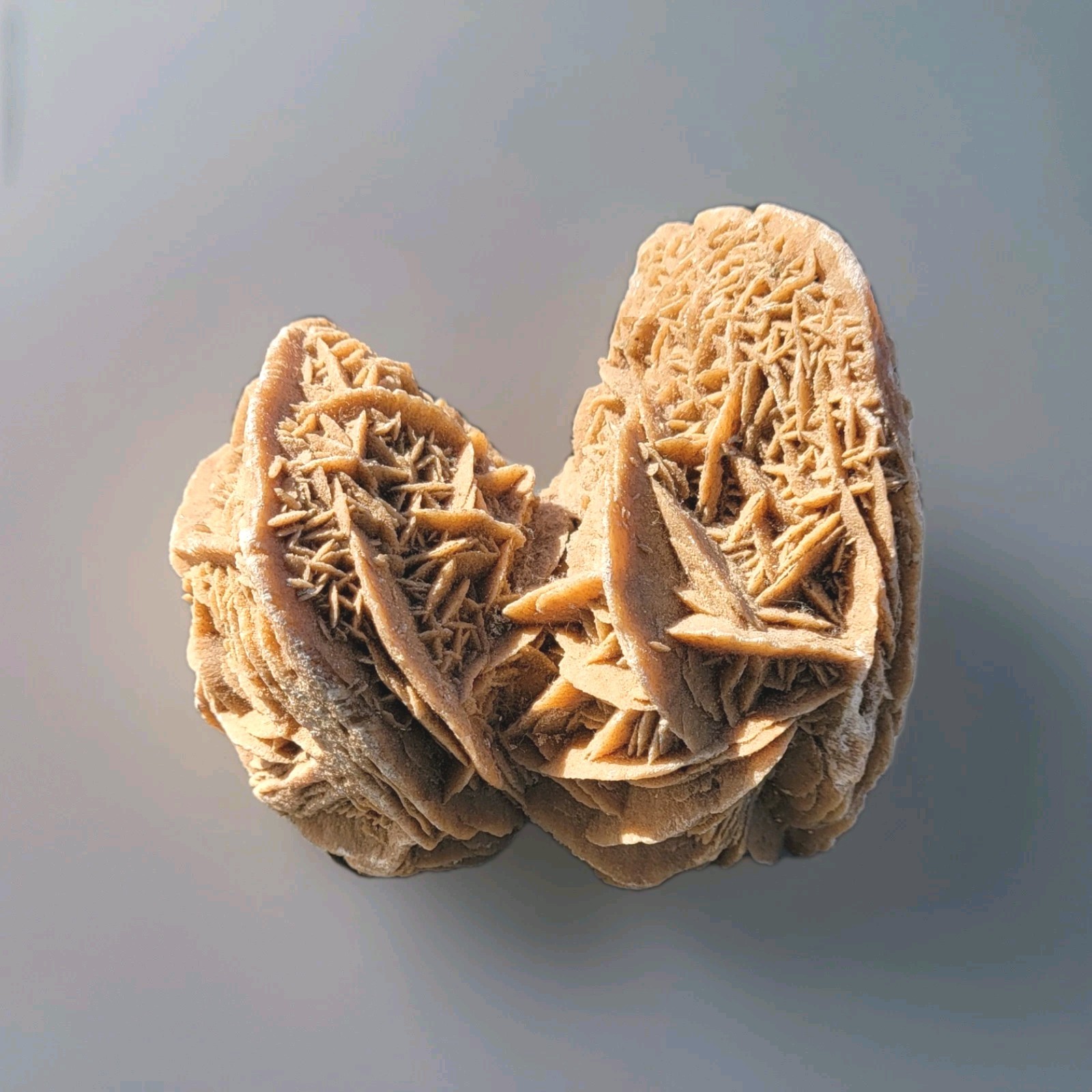 Large Barite Crystal Specimen Desert Rose Double Cluster Heavy 7×5 Inches