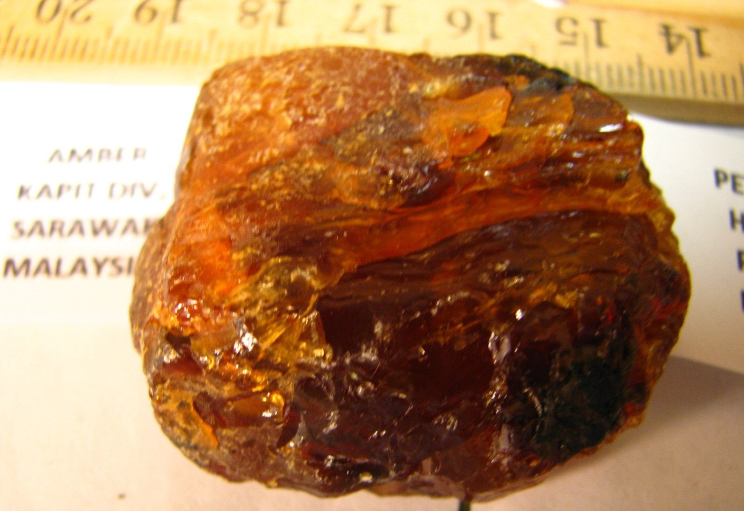 5 SPECIMENS PETOSKEY STONE LABRADORITE AMBER RUTILATED QUARTZ SEPTARIAN #079
