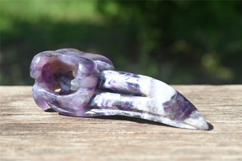 3.8” Natural Dream amethyst Crow skull carved crystal decor reiki heal gift 1pc
