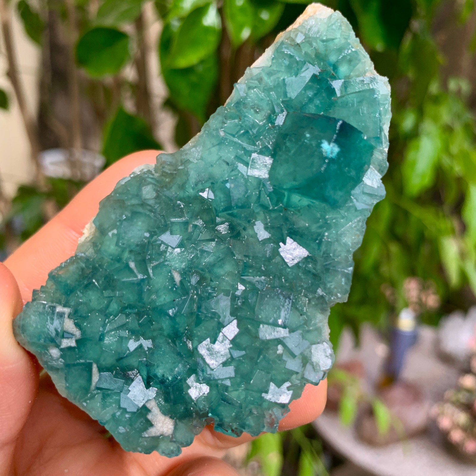 133g Natural Green FLUORITE Quartz Crystal Cluster Mineral Specimen